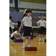 Fiesta de la Educación Física - Nivel Inicial y Primario (1°, 2° y 3° grados)